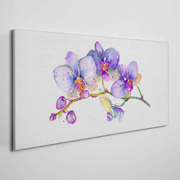 Tableau sur toile La beauté florale des orchidées