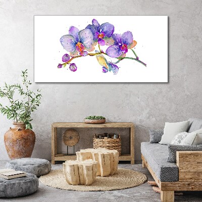 Tableau sur toile La beauté florale des orchidées