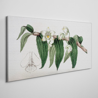 Tableau sur toile Composition florale avec des feuilles