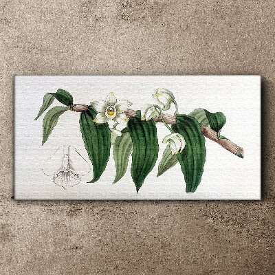 Tableau sur toile Composition florale avec des feuilles