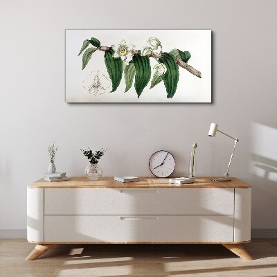 Tableau sur toile Composition florale avec des feuilles