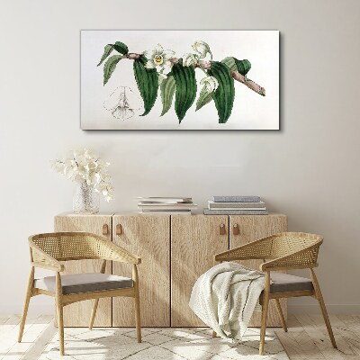 Tableau sur toile Composition florale avec des feuilles