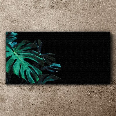 Tableau sur toile Feuilles vertes sur fond noir