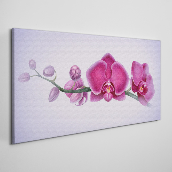 Tableau toile imprimée Orchidées aux délicates nuances de rose
