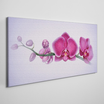 Tableau toile imprimée Orchidées aux délicates nuances de rose