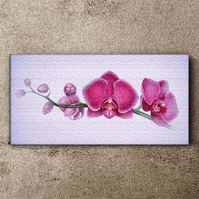 Tableau toile imprimée Orchidées aux délicates nuances de rose