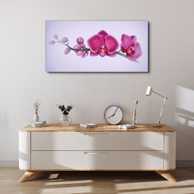 Tableau toile imprimée Orchidées aux délicates nuances de rose