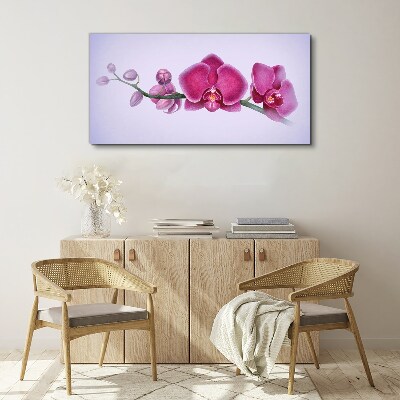 Tableau toile imprimée Orchidées aux délicates nuances de rose