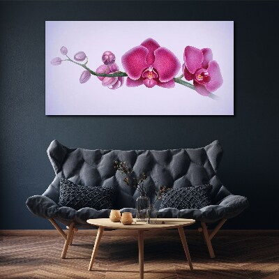 Tableau toile imprimée Orchidées aux délicates nuances de rose