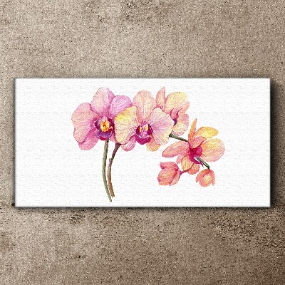 Tableau toile imprimée La beauté florale des orchidées