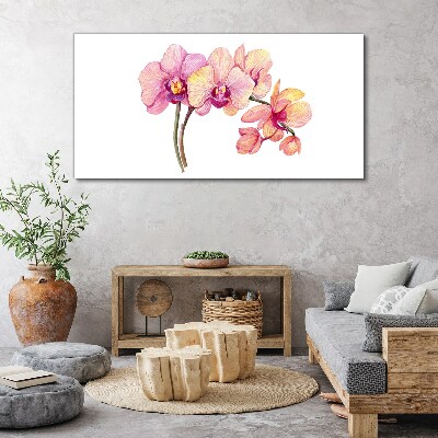 Tableau toile imprimée La beauté florale des orchidées