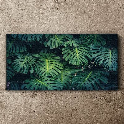 Tableau toile imprimée Vert tropical dans les feuilles de monstera