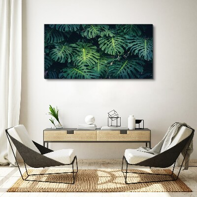 Tableau toile imprimée Vert tropical dans les feuilles de monstera
