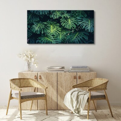 Tableau toile imprimée Vert tropical dans les feuilles de monstera