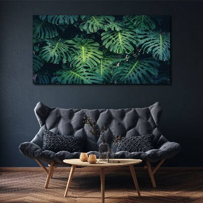 Tableau toile imprimée Vert tropical dans les feuilles de monstera