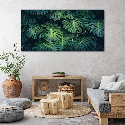 Tableau toile imprimée Vert tropical dans les feuilles de monstera
