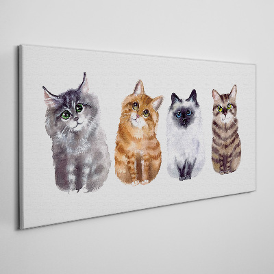 Tableau sur toile Des chats de différentes nuances