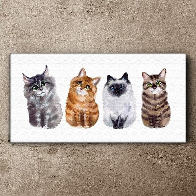 Tableau sur toile Des chats de différentes nuances