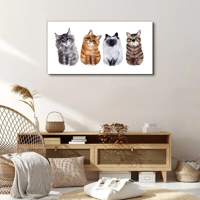 Tableau sur toile Des chats de différentes nuances