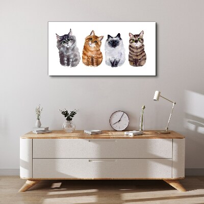 Tableau sur toile Des chats de différentes nuances