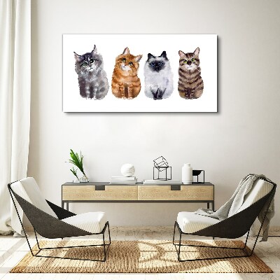 Tableau sur toile Des chats de différentes nuances