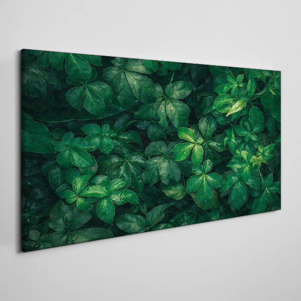 Tableau toile imprimée Fourré vert de feuilles
