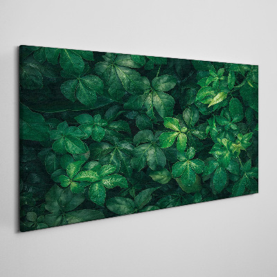 Tableau toile imprimée Fourré vert de feuilles