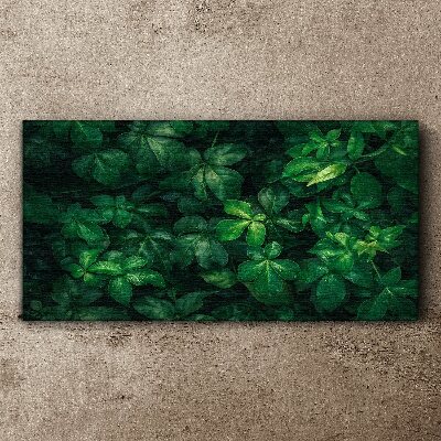 Tableau toile imprimée Fourré vert de feuilles
