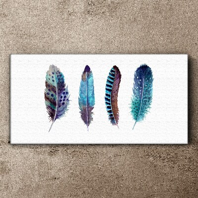 Tableau sur toile Plumes colorées sur fond blanc