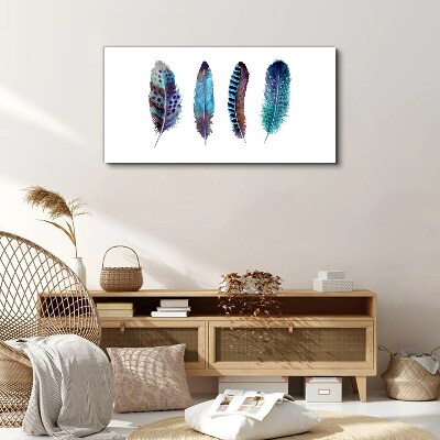 Tableau sur toile Plumes colorées sur fond blanc