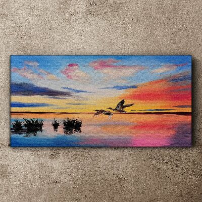 Tableau toile imprimée Coucher de soleil sur le lac