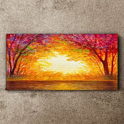 Tableau sur toile Coucher de soleil dans une forêt colorée
