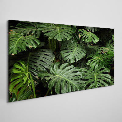 Tableau toile imprimée Feuilles de monstera tropicales