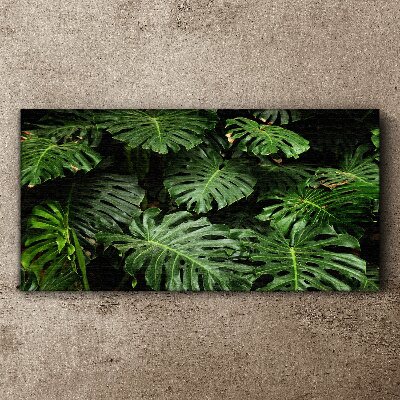 Tableau toile imprimée Feuilles de monstera tropicales