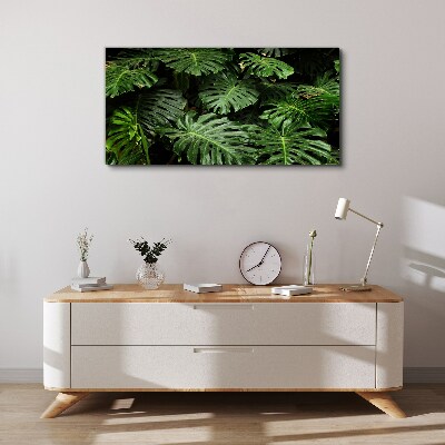 Tableau toile imprimée Feuilles de monstera tropicales