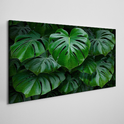 Tableau imprimé sur toile Symphonie verte de feuilles de Monstera