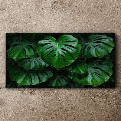 Tableau imprimé sur toile Symphonie verte de feuilles de Monstera