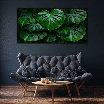 Tableau imprimé sur toile Symphonie verte de feuilles de Monstera