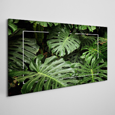 Tableau sur toile Jungle verte