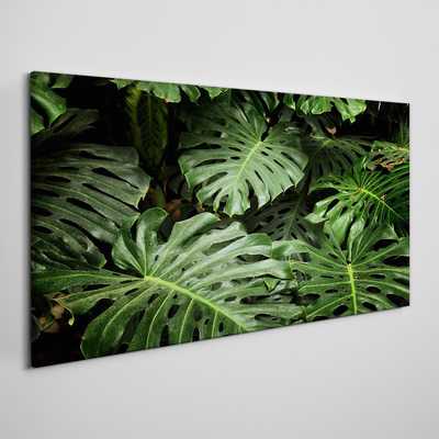 Tableau toile imprimée Jungle verte