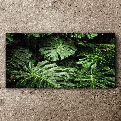 Tableau toile imprimée Jungle verte