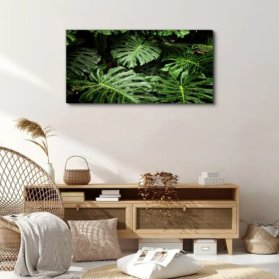 Tableau toile imprimée Jungle verte