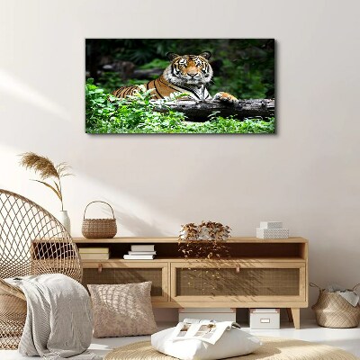 Tableau sur toile Tigre dans la forêt verte