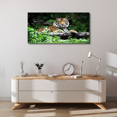 Tableau sur toile Tigre dans la forêt verte