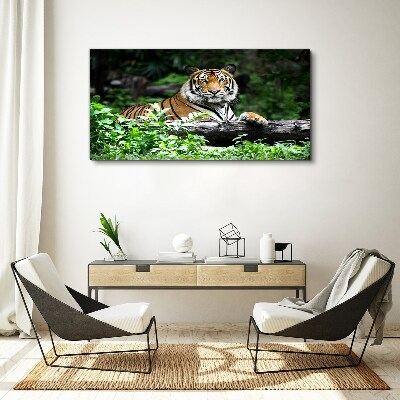 Tableau sur toile Tigre dans la forêt verte