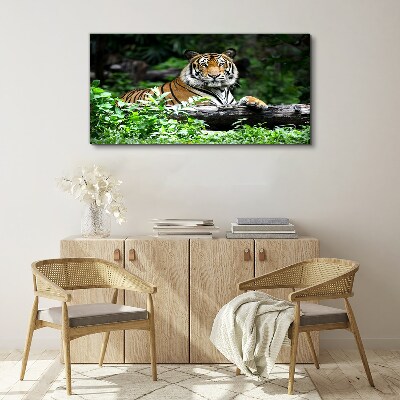 Tableau sur toile Tigre dans la forêt verte