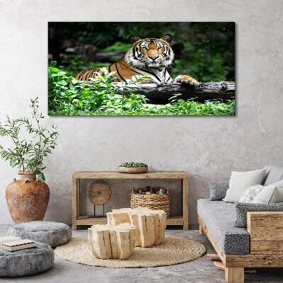 Tableau sur toile Tigre dans la forêt verte