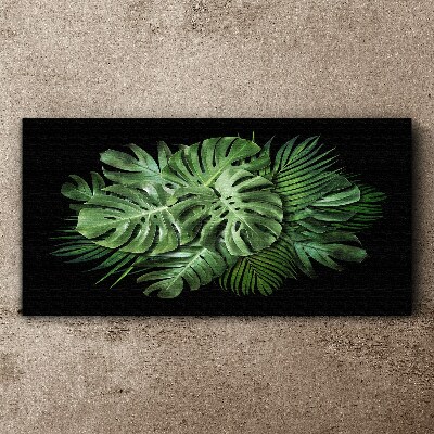 Tableau sur toile Vert tropical sur fond noir