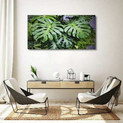 Tableau toile imprimée Feuilles de monstera vertes dans la nature