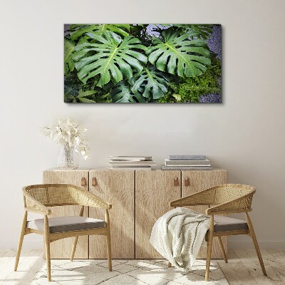 Tableau toile imprimée Feuilles de monstera vertes dans la nature